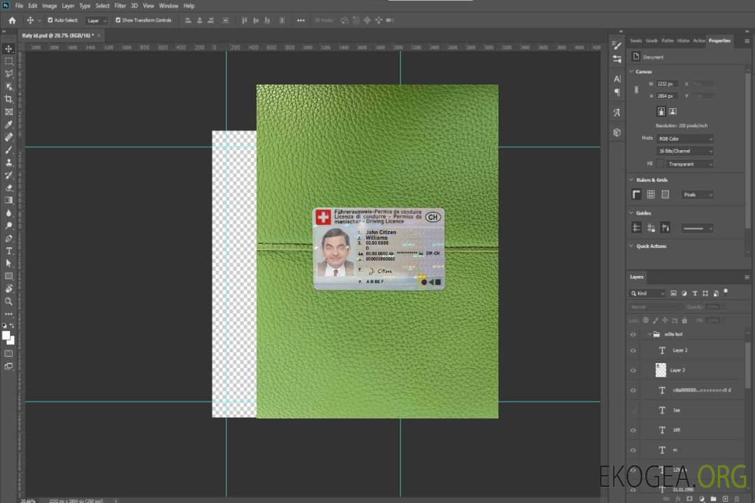 Suisse DL photolook AVANT template Suisse DL photolook AVANT template